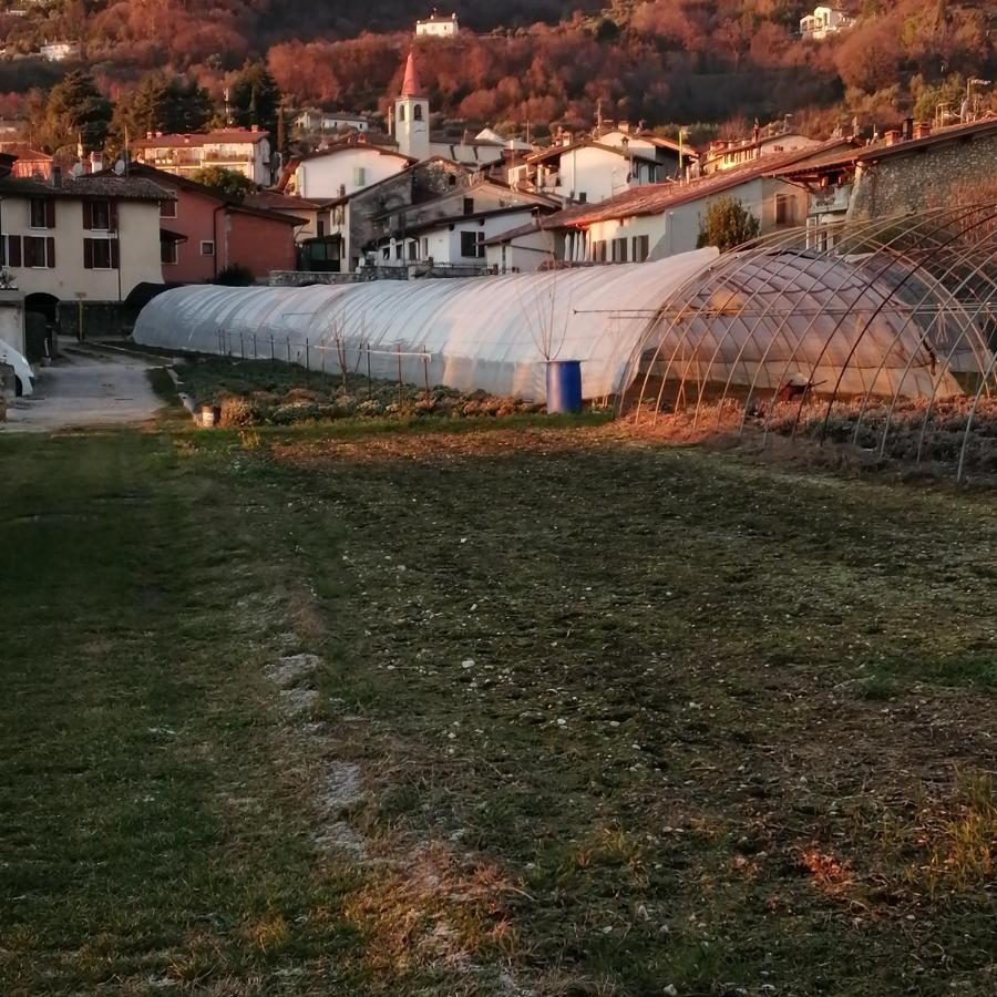 Agriturismo Corte Fontana App. Barbara 萨罗 外观 照片